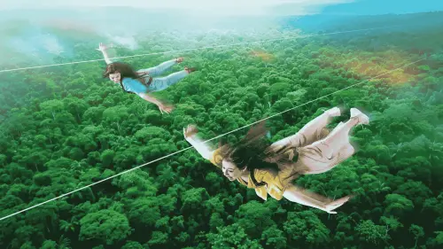 ▲「SKY PHOENIX」長達280公尺的高空飛索，讓旅客橫越原始叢林，感受腎上腺素飆升的快感。（圖／UNGLIA提供）