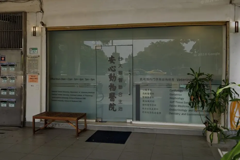 ▲北市「安心動物醫院」爆發經營糾紛，讓不少飼主們擔心罹患重症的毛小孩受影響，深夜仍聚集在診所外排隊拿病歷。（圖／翻攝畫面）