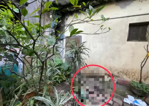 新北挖眼案！醫護發現「2眼沒眼球」鑑識人員找到送醫...為時已晚
