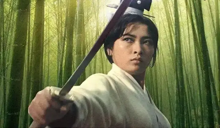 ▲金馬影后徐楓（如圖）幫前夫徐志強還債復出拍戲，認識了債主之一的湯君年，後來嫁給湯君年，生下2子，湯君年過世後繼承了百億資產。（圖／翻攝自微博）
