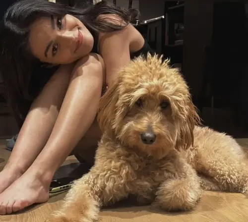 ▲瑞秋曾格勒(左)為了愛犬藍尼突然狂瀉又沒食慾,急著上網求助,卻還遭到嘲諷。(圖/摘自IG) ▲瑞秋曾格勒(左)為了愛犬藍尼突然狂瀉又沒食慾,急著上網求助,卻還遭到嘲諷。(圖/摘自IG)