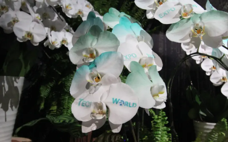 ▲「Tech World館」名列網友評選大阪世博熱門場館第五名。（圖／記者鍾泓良）