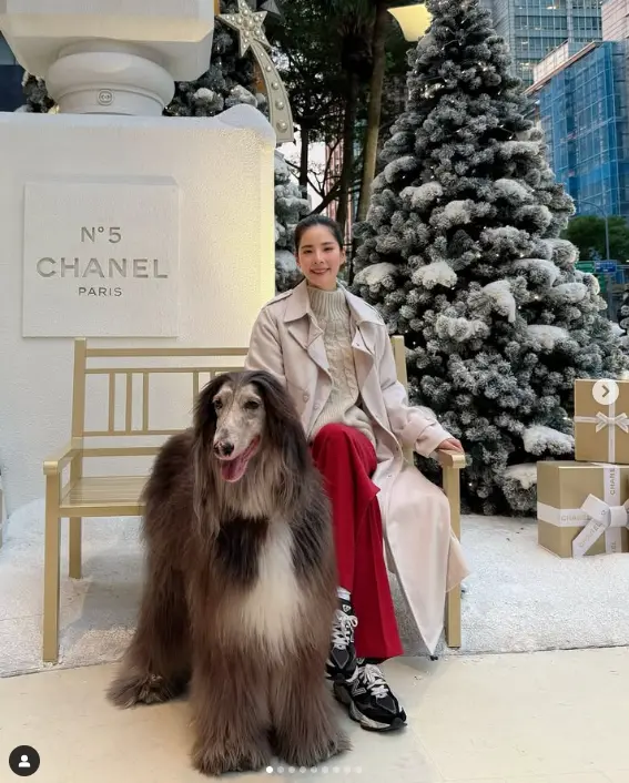 ▲蕭瑋葶與阿富汗獵犬「穆迪」。(圖/翻攝na.xiao.tw IG)