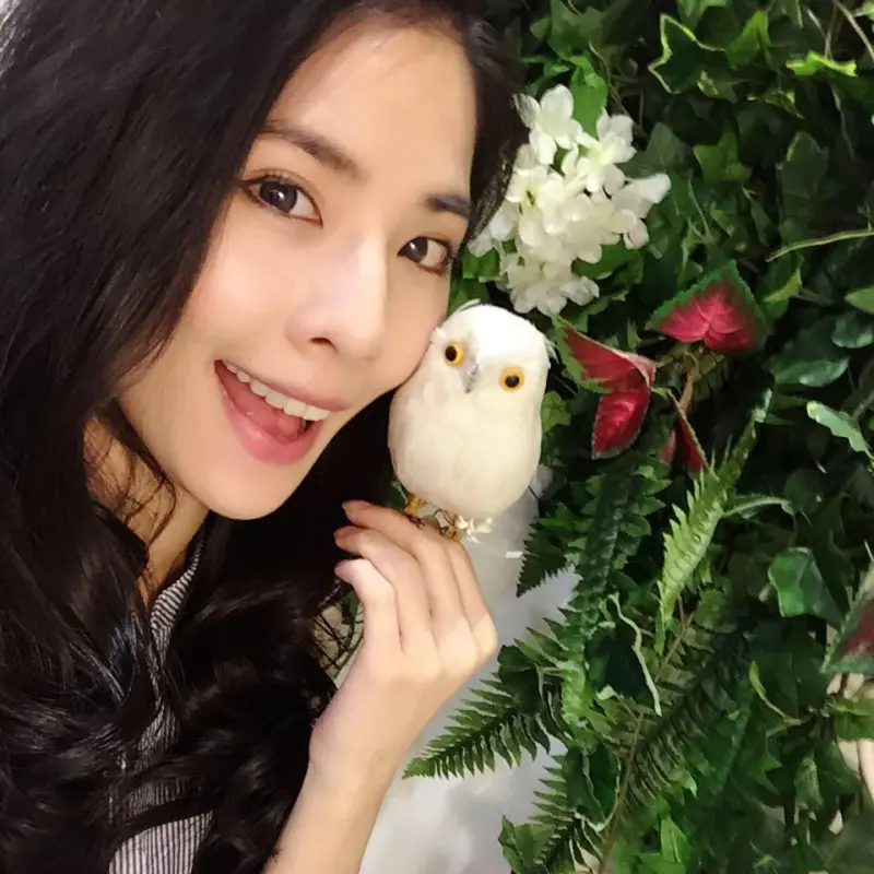 ▲涉案的前伊林模特兒蕭瑋葶。（圖／翻攝蕭瑋葶臉書）