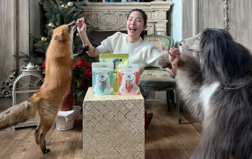 ▲蕭瑋葶除了養狐狸（左），令一旁的阿富汗獵犬（右）更加身價不凡，號稱唯一可進入五星級飯店的狗。（圖／翻攝na.xiao.tw IG）
