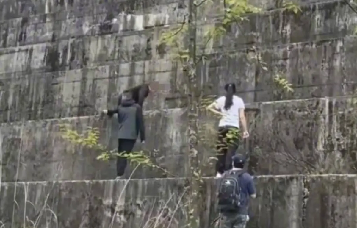 ▲中國四川省都江堰市龍池國家森林公園的「巨人階梯」，近日在中國網路平台上走紅，不少民眾爭相攀爬、打卡。（圖／翻攝自微博）