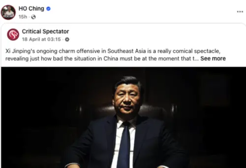 ▲何晶公開轉發一篇說習近平像黑幫老大的貼文。（圖／翻攝自臉書）