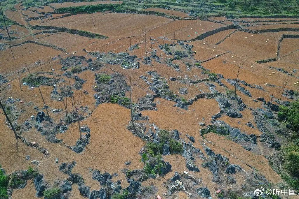 ▲中國廣西自2024年底至今，已連續四個月呈現旱象，南寧、柳州等11市，累計40.5萬人受災。（圖／翻攝自微博聽中國）