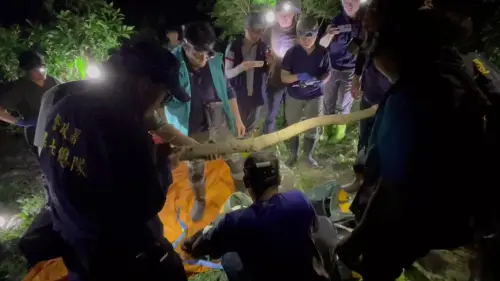 台灣黑熊滋擾部落　巡守員開槍自衛擊斃！玉管處：盼社會理解壓力
