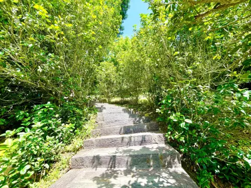 ▲山之道桂花香繚繞(圖／觀旅局提供2025.4.24)