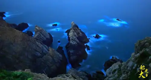 ▲馬祖藍眼淚觀賞季，遊客大爆發，四鄉五島湧現追淚人潮。（圖／縣府提供）