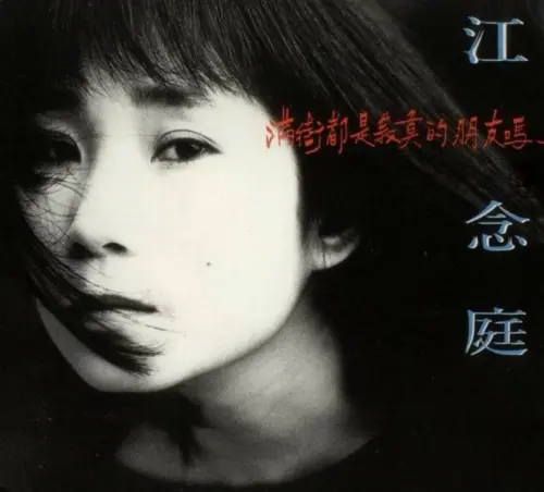 ▲江念庭曾靠著〈滿街都是寂寞的朋友嗎？〉入圍金曲獎。（圖／翻攝自spotify）