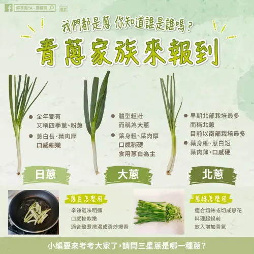 ▲台灣蔥的品種有日蔥、北蔥和大蔥。（圖／農糧署臉書）