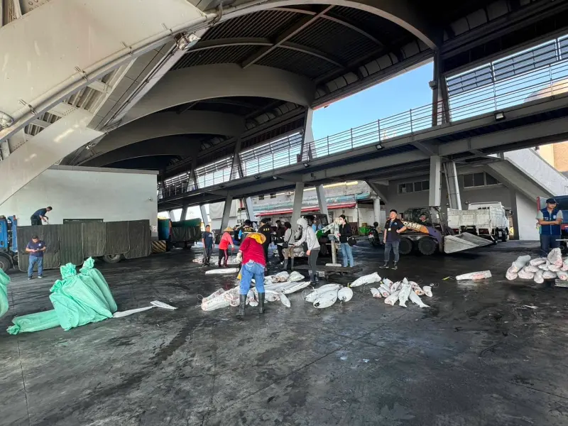 殘忍！台遠洋漁船非法獵捕海豚切塊當捕鯊魚誘餌　船長10萬元交保