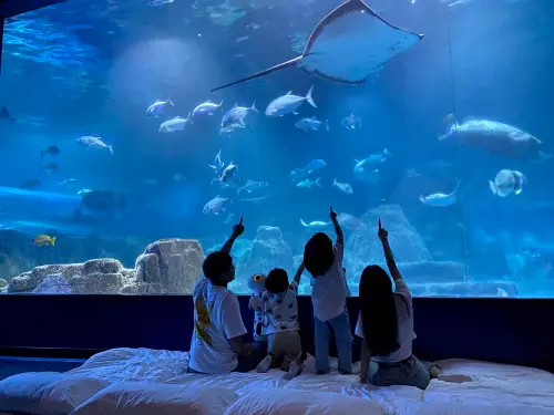 ▲全台唯一親親海洋夜未眠，近距離海洋體驗及暢遊樂園雙享。（圖／遠雄海洋公園提供）
