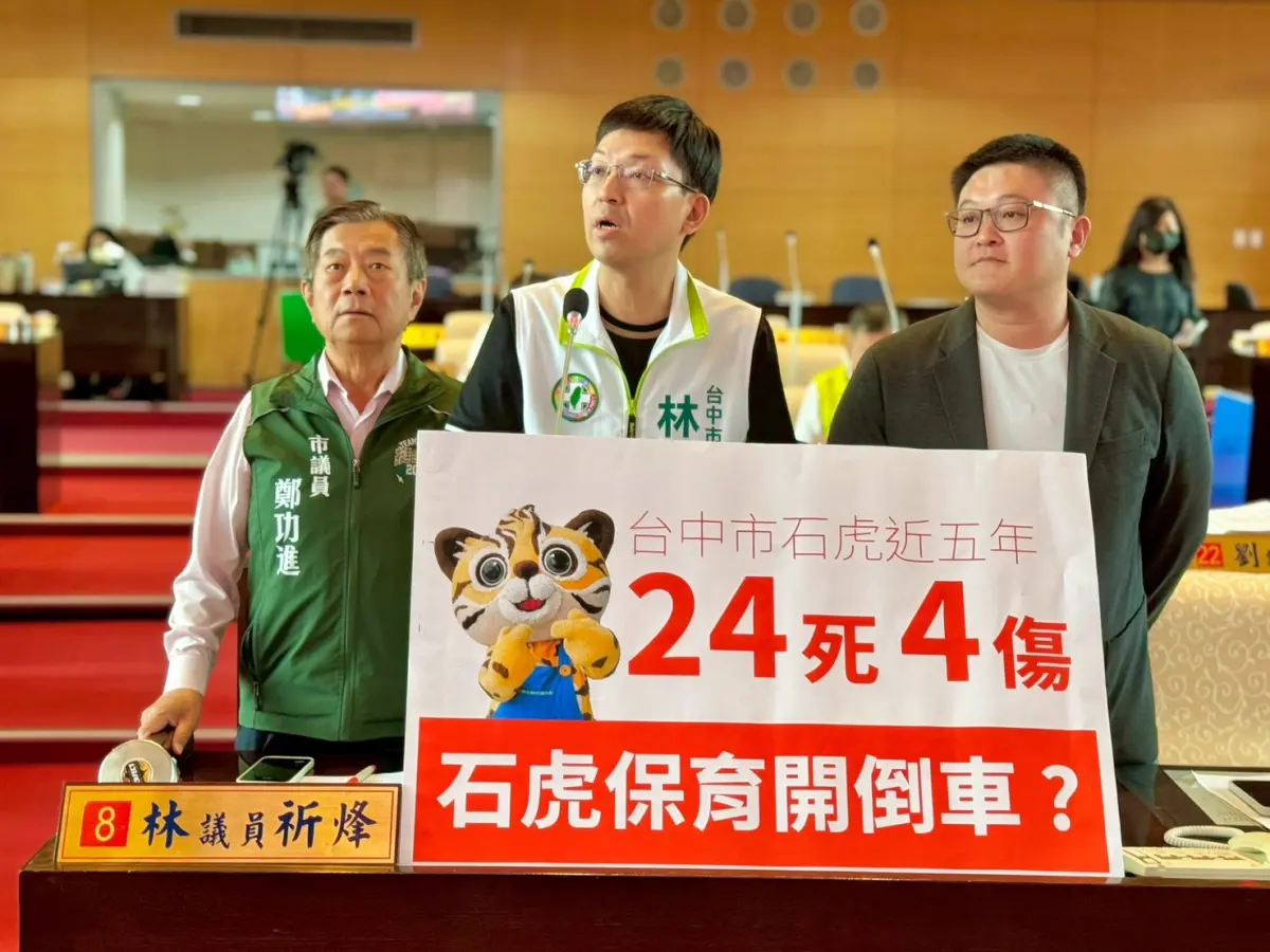 ▲議員林祈烽說，據統計，自條例施行後，石虎因路殺、中獸鋏、毒殺及犬隻攻擊等原因死亡的案例逐年攀升(圖／柳榮俊攝2025.4.28)