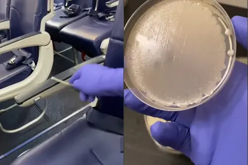 ▲微生物學家尼古拉斯曾檢測機上是否衛生，將樣本放進培養皿送到實驗室保存，但之後表面都長出一大片灰白的細菌。（圖／TikTok@TikTok）
