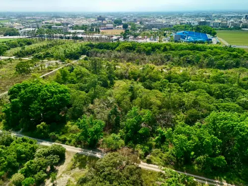 ▲萬丹平地森林公園緊鄰台糖種苗園區，佔地20公頃綠意盎然、樹木成蔭。（圖／屏東縣府提供）