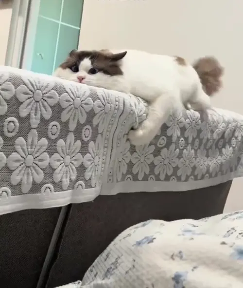 ▲(圖/翻攝自微博) ▲(圖/翻攝自微博)