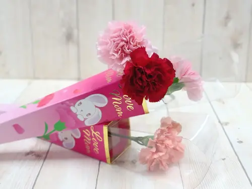 5月「星巴克買一送一」9大咖啡優惠!勞動節到母親節 米菲兔來了 ▲統一企業集團今年特選哥倫比亞空運來台康乃馨,大朵圓潤的花型有紅色、粉色、粉橘色等多色系。(圖/統一集團提供)