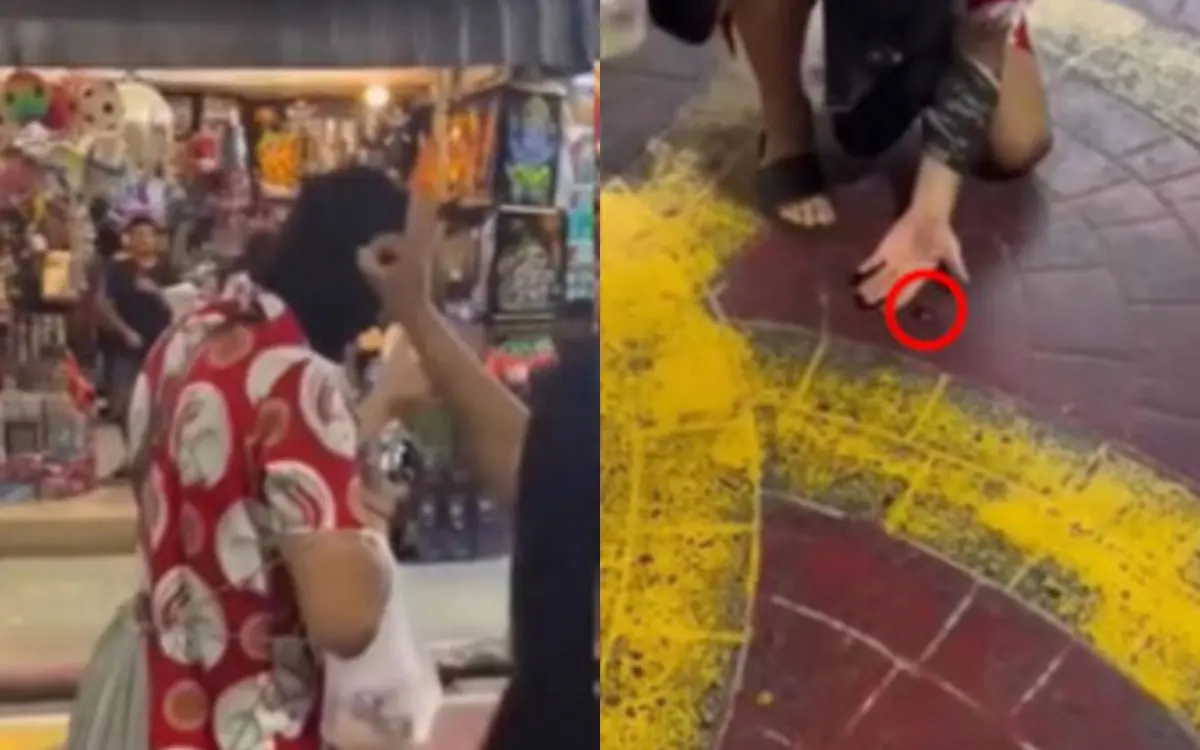 ▲一名男子帶蟑螂上街，沒想到被熱心大嬸彈飛，讓他超崩潰，大喊：「那是我的寵物！」（圖／翻攝自臉書）