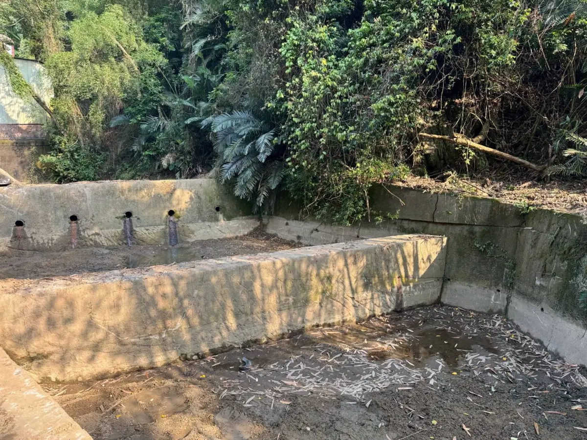▲豐原區翁子里師範街65巷國家教育研究院後山野溪沉沙池清淤後(圖／水利局提供2025.4.30)