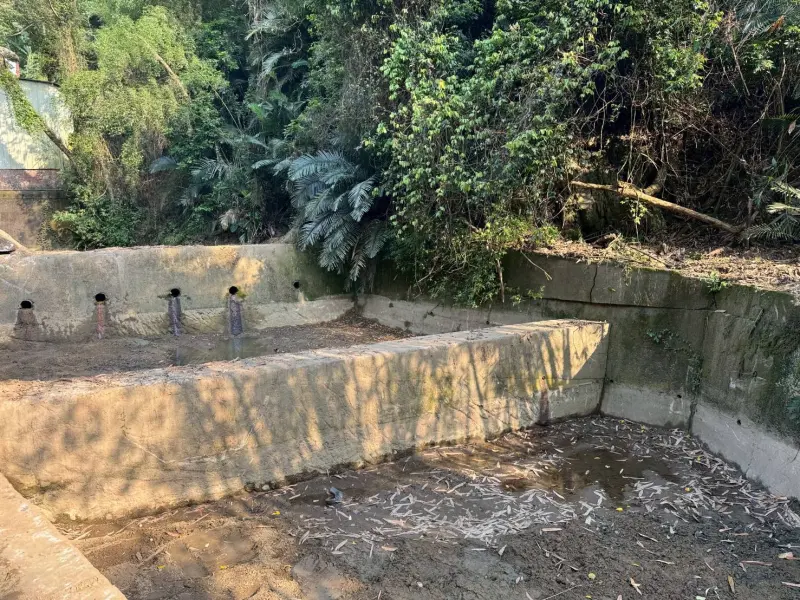 ▲豐原區翁子里師範街65巷國家教育研究院後山野溪沉沙池清淤後(圖／水利局提供2025.4.30)
