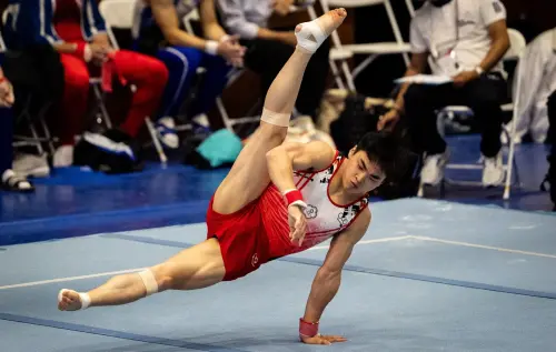 全大運／體操好手莊佳龍狂掃個人、全能金牌　世大運資格也到手
