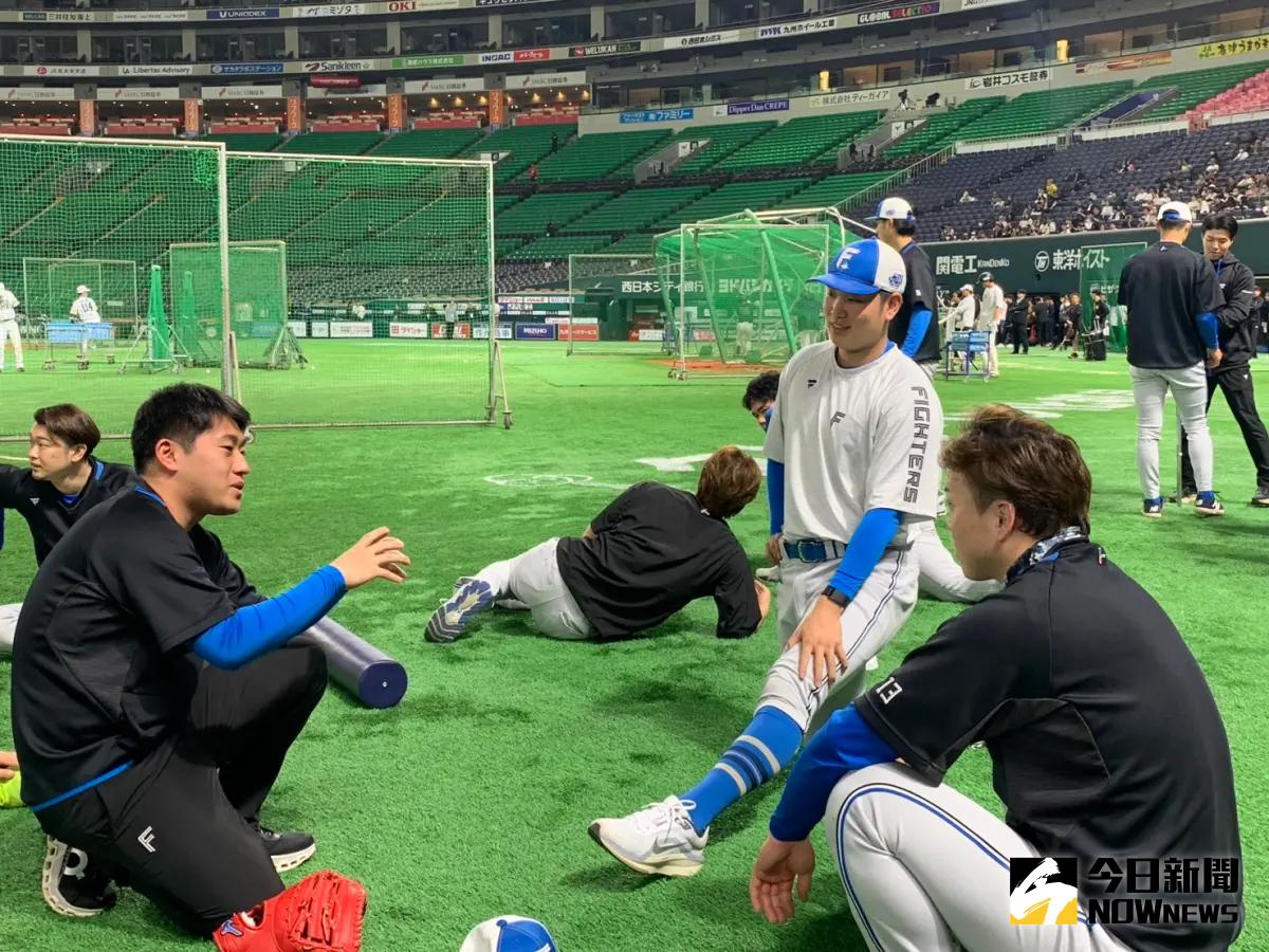 ▲北海道日本火腿鬥士隊古林睿煬（中）在練習時與隊友生田目翼（右）熱情交流。（圖／記者陳柏翰攝）