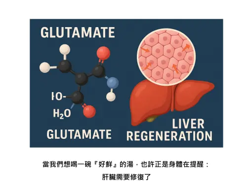 2025年世界權威期刊《Nature》當中，一篇震撼醫學界的研究，「味精成分麩胺酸有助於肝臟修復」。（圖／翻攝基因醫師張家銘臉書）
