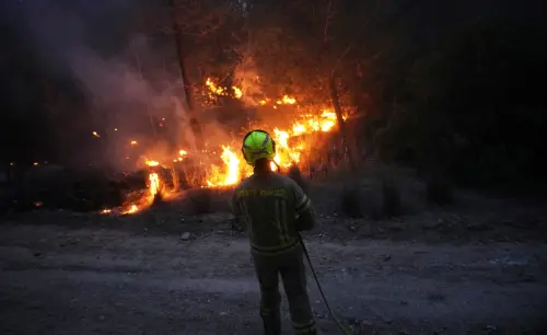 影／耶路撒冷大規模野火！以色列進入國家緊急狀態　已向多國求援
