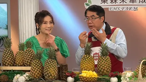 ▲黃偉哲在直播中介紹,4月至5月為台南鳳梨的主要產季,且生長在日照充足,排水良好的向陽山坡地,加上PH偏酸的紅砂土,造就鳳梨獨特的甜度和口感。(圖/南市府提供) ▲黃偉哲在直播中介紹,4月至5月為台南鳳梨的主要產季,且生長在日照充足,排水良好的向陽山坡地,加上PH偏酸的紅砂土,造就鳳梨獨特的甜度和口感。(圖/南市府提供)