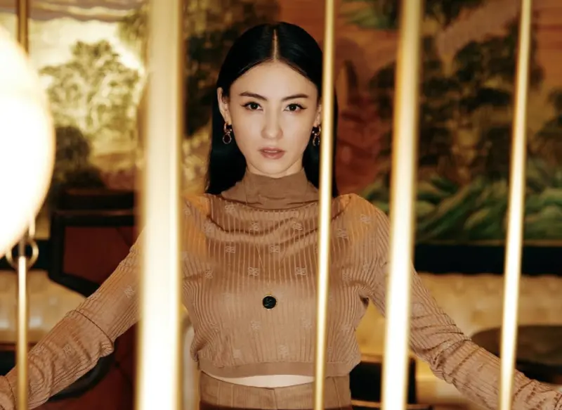 ▲張柏芝愛血拚的形象深入人心，一度被傳敗光謝霆鋒的5億身家，氣得她發出律師聲明，表示沒拿過謝霆鋒一毛錢贍養費。不過她曾經砸180萬買3部車子療情傷，也曾因為在拍片現場只顧著打電話訂名牌包，惹怒劉德華，決定往後不再和她合作。（圖／摘自張柏芝IG）