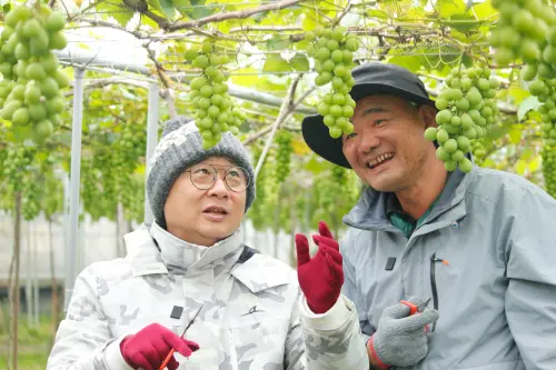 ▲邰智源（右）在節目中意外剪錯葡萄果實，開玩笑說想「塞回去」。（圖／公視台語台）