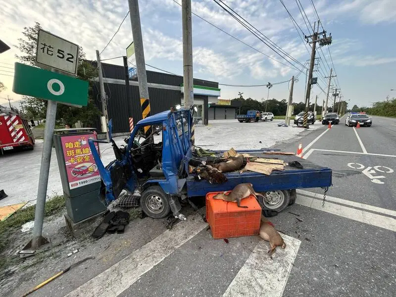 花蓮小貨車自撞電桿釀2死2傷　徒留滿車獵槍與5隻獵物
