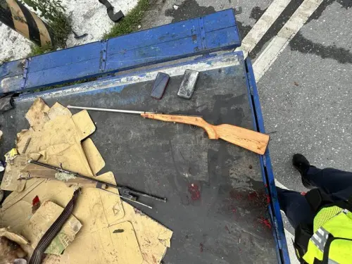 ▲台9線238K處小貨車清晨失控撞上路邊號誌燈桿，車上查獲4把獵槍。（圖／民眾提供）