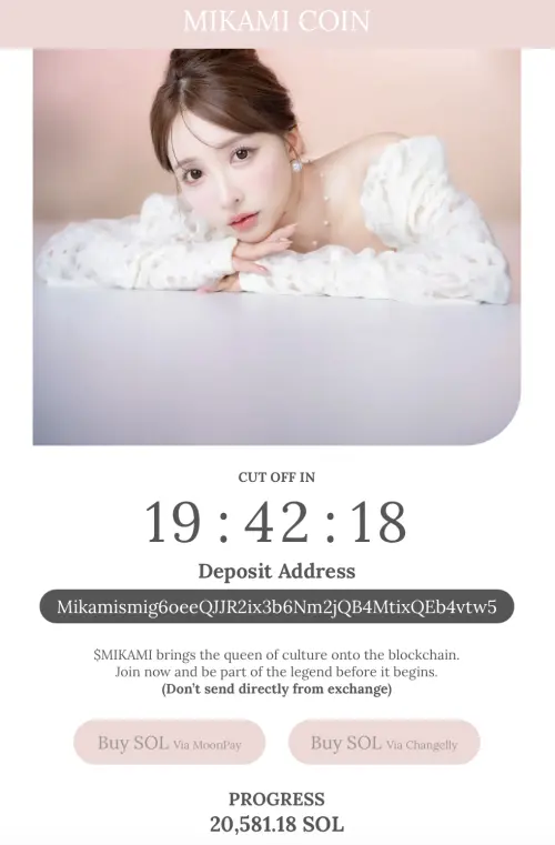 ▲三上悠亞所發行的迷因幣募資已突破9500萬台幣。（圖／翻攝自MIKAMI COIN 網頁）