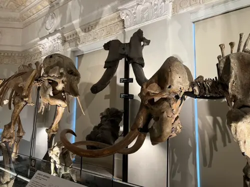 ▲臺灣博物館（圖／記者賴禹妡攝）