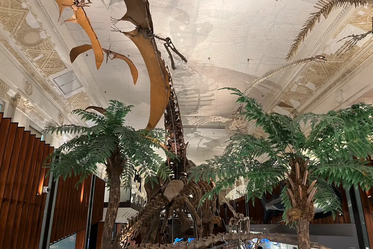 ▲台北景點別再只去故宮、動物園！許多網友大推「國立臺灣博物館」，不只交通方便，就在台大醫院捷運站旁，票價親民30元還能一票暢遊本館與土銀古生物館。（圖／記者賴禹妡攝）