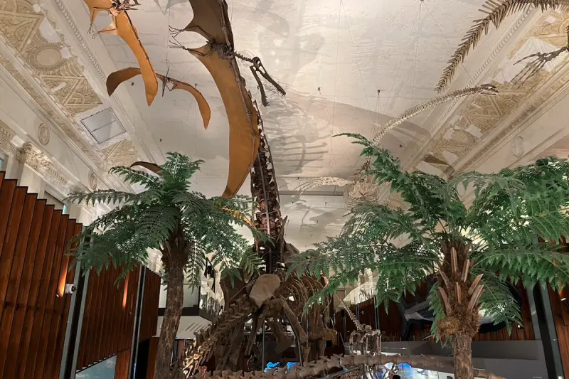 ▲台北景點別再只去故宮、動物園！許多網友大推「國立臺灣博物館」，不只交通方便，就在台大醫院捷運站旁，票價親民30元還能一票暢遊本館與土銀古生物館。（圖／記者賴禹妡攝）