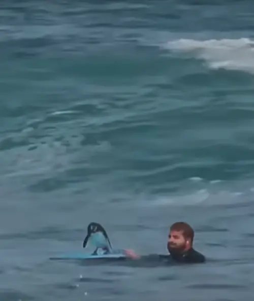 ▲(圖/翻攝自IG) ▲(圖/翻攝自IG)