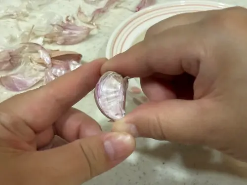 ▲拇指和食指捏住蒜辦兩側。（圖／記者徐銘穗攝）