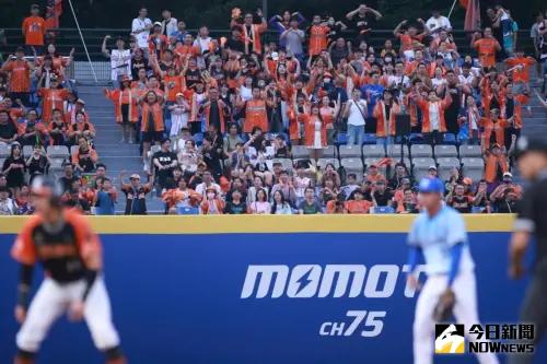 統一獅本季首度作客新莊球場,外野湧入許多獅迷。(圖/記者葉政勳攝) ▲統一獅本季首度作客新莊球場,外野湧入許多獅迷。(圖/記者葉政勳攝)