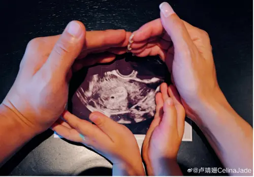 ▲盧靖姍與韓庚開心地宣布二寶的到來，吸引許多粉絲前來祝福。（圖／盧靖姍微博）