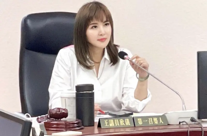 ▲台北市議員王欣儀（圖）、林世宗名下財產資料曝光。（圖／資料照片）