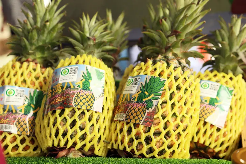 ▲臺灣輸日鳳梨落實產銷履歷逐粒貼標制度，可溯源並保障果品安全性。（圖／農業部）