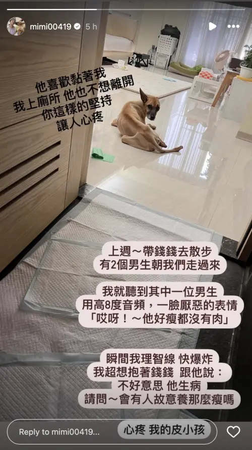 ▲米可白在社群透露自己的愛犬遭受異樣眼光。（圖／IG mimi00419）