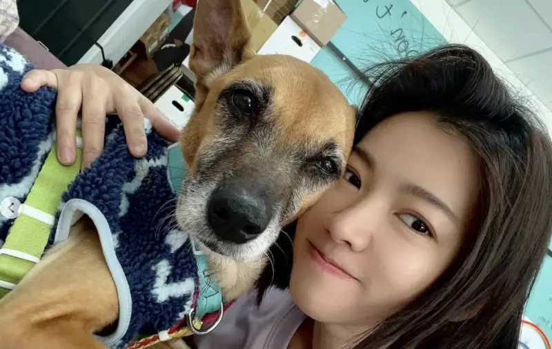 ▲米可白的愛犬「錢錢」近期罹患胃癌暴瘦，還因此遭受外人冷眼，讓米可白理智線斷裂崩潰，直呼心疼。（圖／IG mimi00419）