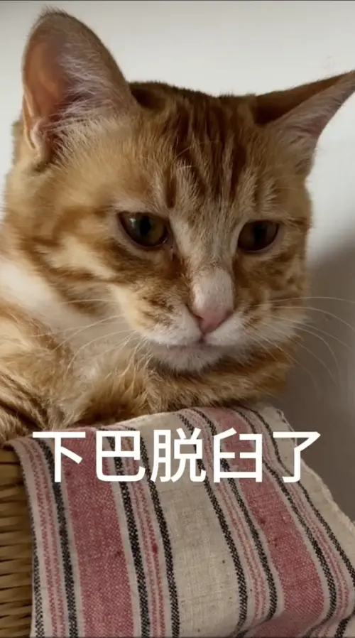 ▲（圖／翻攝自微博）