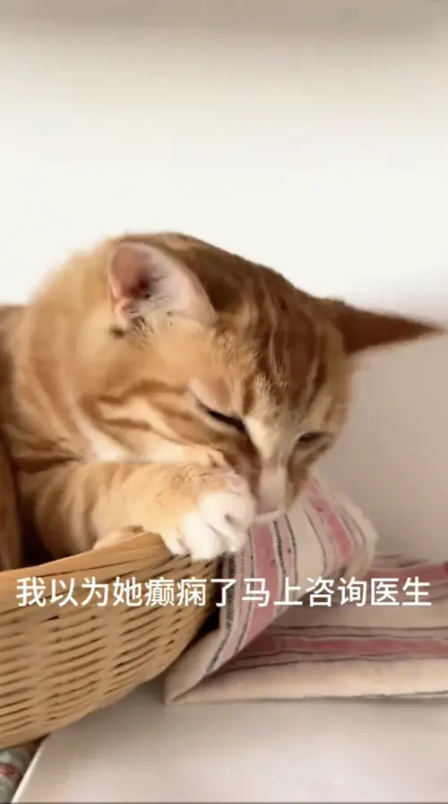 ▲（圖／翻攝自微博）